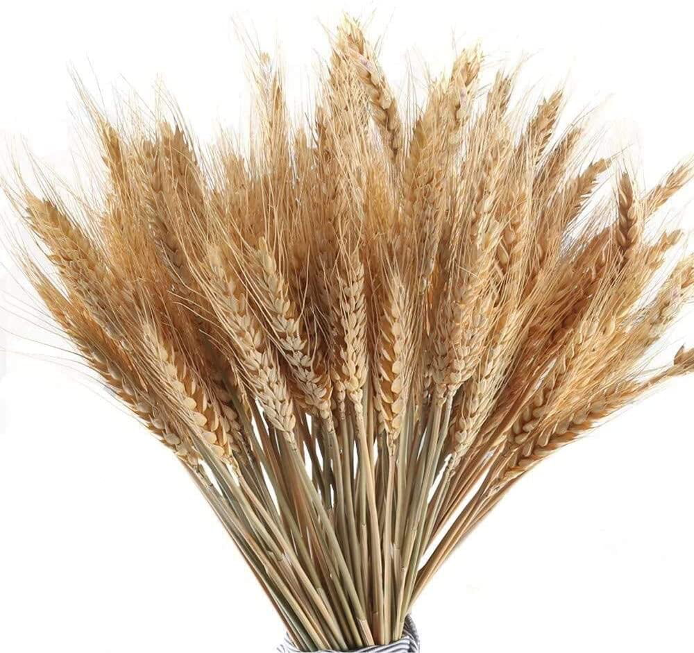 100Pcs Stems Dried Wheat Flowers Arranging Ready To Use Natural Bouquet Decor 