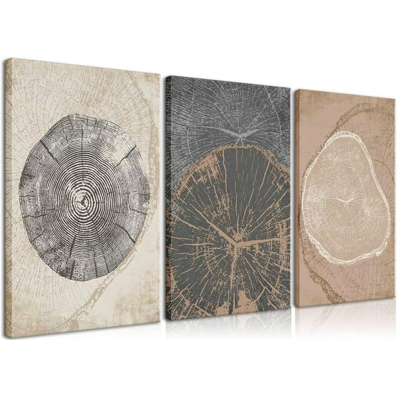 3Pcs Framed Tree Ring Canvas Wall Art Print Pastel Gray Wood Spirals Picture Nature Abstract Drawings Poster Modern Minimalist Wall Decor for Living Room Bedroom Home Office 12"x16"x3