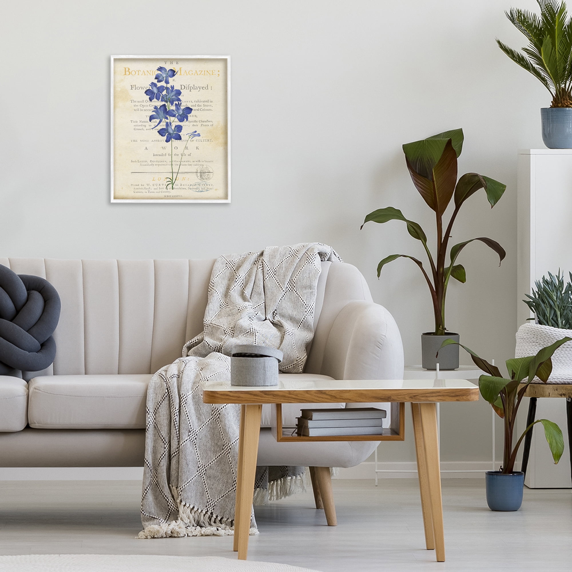 Stupell Industries Natural Botanic Garden Flower White Framed Giclee Art, design by Susan Arnot