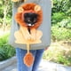 thumbnail image 5 of Bolsos De Mascotas Bolso Lion Pattern Cat Dog Carrier Bags de viaje saliente de lona suave para amantes de las mascotas, 5 of 7