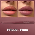 thumbnail image 2 of Palladio Retractable Waterproof Lip Liner High Pigmented and Creamy Color with Long Lasting All Day Wear , Plum, 1 Count, 2 of 6