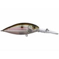 thumbnail image 2 of Megabass Deep-X 300 Crankbait de Plongée Extra Profond - Gésier MB, 2 of 4