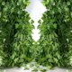 thumbnail image 2 of Decoración para fiestas de bodas, decoración inspirada en la naturaleza, guirnaldas de hiedra artificial, fácil de instalar, pantalla de privacidad, relleno de jardineras, ideal para decoración, 2 of 5