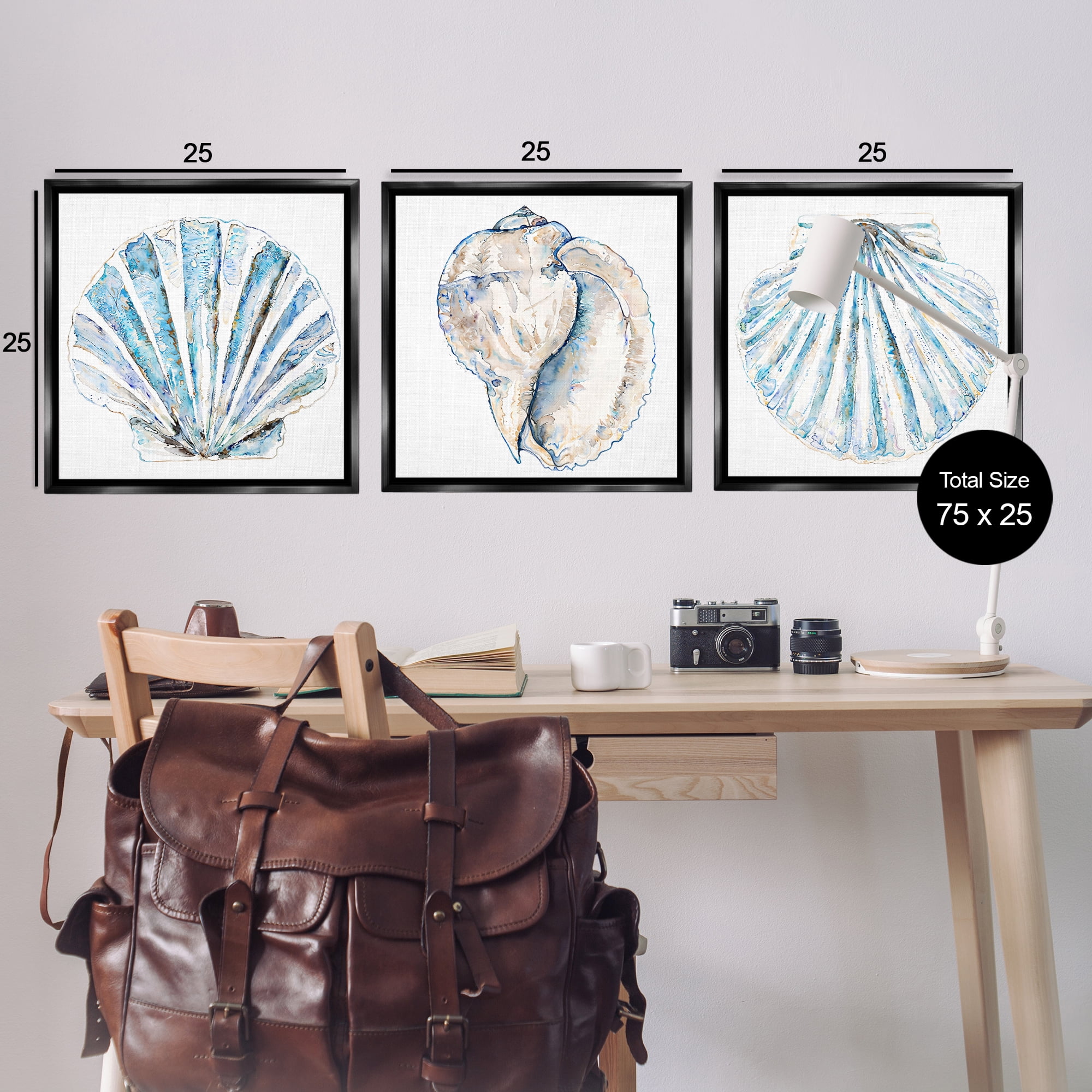 Stupell Industries Clam & Conch Watercolors Nautical & Beach Painting Black Floater Framed Canvas Art Print Wall Art, 25 x 25, Set of 3