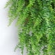 thumbnail image 3 of Plantas colgantes artificiales que no requieren mantenimiento, elegante césped persa verde para dormitorio, decoración de pared de jardín, fiestas, hojas generosas (2 piezas), 3 of 5