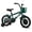 Green, variant on Rully 14 inch Dinosaur Kids Bike for Boys 3-5 Years, Bicycle with Training Wheels, Basket & Coaster Brake, Blue