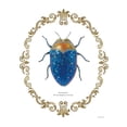 thumbnail image 2 of Gango Home Decor Contemporary Adorning Coleoptera V & VIII by James Wiens (Ready to Hang); Two 11x14in Hand-Stretched Canvases, 2 of 5