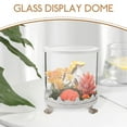thumbnail image 3 of WHAMVOX Clear Dome Case Preserved Flower Glass Cover 15.50X13.50X13.50CM White, 3 of 8