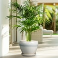 thumbnail image 4 of Ordivic 8 inch Cream White Ceramic Decorative Planter with Drainage Hole & Saucer, Modern Indoor Pot for Herbs & Living Room,Office Desk Decor, 4 of 7