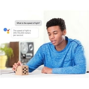 Google AIY Voice Kit (V1) - DIY kit