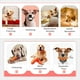 thumbnail image 2 of Juguetes para masticar para perros, masticadores agresivos, indestructibles, resistentes y duraderos, juguete interactivo para cachorros, cepillo de dientes para dientes pequeños, 2 of 5
