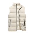 thumbnail image 1 of Chaleco informal de talla grande para hombre, chaleco cálido de algodón para otoño e invierno, 1 of 5