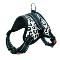 thumbnail image 3 of Arnés de nailon personalizado para perros, reflectante, transpirable, para perros pequeños y grandes, accesorios de entrenamiento para paseos al aire libre, 3 of 5