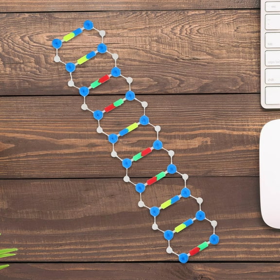 OUNONA Dna Model For Students Helix Structure Model For Genetics And Molecular Biology Educational Tool For Classroom And Laboratory