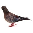 thumbnail image 3 of 40pcs Adorno de simulación de palomas artificiales Espuma con plumas Decoración de pájaros falsos Sunnimix Pájaros artesanales emplumados, 3 of 8