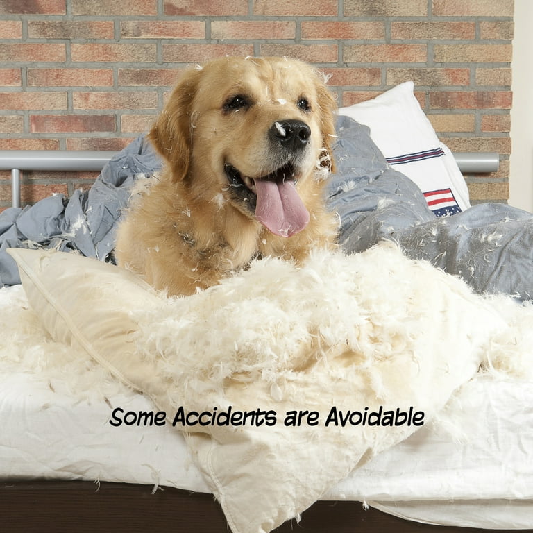 Pet divider cheap for home