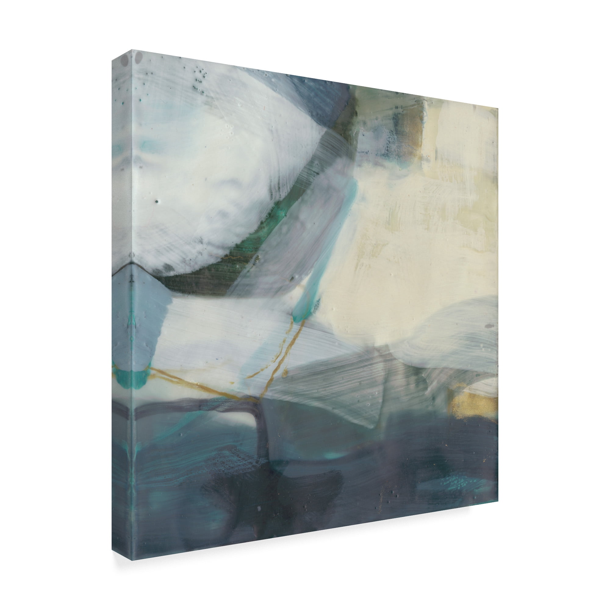 Trademark Fine Art 'Tusk IV' Canvas Art by Sue Jachimiec