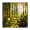 thumbnail image 1 of Forest Bandana, Sun Rays Woods Foliage, Unisex Head and Neck Tie, by Ambesonne, 1 of 2