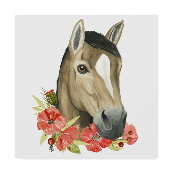 Trademark Fine Art 'Poppy Farm II' Canvas Art by Grace Popp