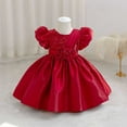 thumbnail image 2 of SERTG Little Girls' Party Dress Sheer Paneled Skirt with Back Zipper Short Sleeve Round Neck Princesse Outfit for 6 Months-4 Years(Red,3 Years), 2 of 6