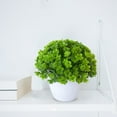 thumbnail image 5 of BKER Bonsai Desktop Decorative Arrangement With Low For Home (Green), 5 of 5