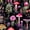 Color 2, variant on Peel and Stick Wallpaper Colorful Mushroom Forest Botanical Foliage Dark Gothic Wall Mural 23.6in x 9.8ft Self Adhesive Removable Wall Paper Renter Friendly Wallpaper for Nursery Bedroom Cabinets