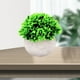 thumbnail image 5 of Mini plantas artificiales en maceta, pequeñas plantas de interior y exterior de nuestra tienda online. Beige b, 5 of 7