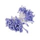 thumbnail image 2 of Matsuzay 6/8/10/12/50/70/90 Uds. Mezcla de flores moradas cereza estambre bayas paquete DIY Navidad pastel de boda caja de regalo decoración de coronas Flores artificiales No.06 Matsuzay HA002016-06, 2 of 6