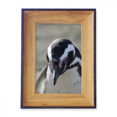 thumbnail image 1 of Cute Penguins Science Nature Picture Photo Frame Exhibition Display Art Desktop Painting, 1 of 3