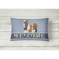 thumbnail image 2 of Carolines Treasures BB8308PW1216 Biewer Terrier Welcome Canvas Fabric Decorative Pillow, Blue, 12H x16W, multicolor, 2 of 3