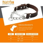 Mighty Paw Leather Dog Training Collar, Martingale Dog Collar with Stainless Steel Chain, Large