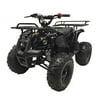 Coolster 125cc ATV 3125XR8