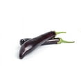 thumbnail image 2 of Seeds!  Long Purple Eggplant --20 Garden Seeds-Vegetable Seed Natural -Delicate flavor Tender gourmet fruit vivid purple, 2 of 2