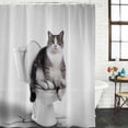 thumbnail image 2 of Funny Cat Bathroom Shower Curtains with 12 Hooks Polyester Waterproof Shower Curtain for Stalls and Bathtubs Modern Abstract Cute Animals on Toilets Artwork Decorative Bathroom Curtain 36x72 Inches, 2 of 8