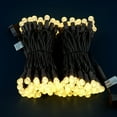 thumbnail image 2 of Warm White One-Piece G12 Raspberry Christmas Lights 140 Count 48 Feet, 2 Sets 70 LED 24 ft High Waterproof UL Certified String Light (Warm White - Brown Wire), 2 of 5