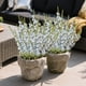 thumbnail image 5 of Ramo de flores de gloria de la mañana artificial 53cm B, Flores artificiales, Flores de plástico, Ramo de flores de imitación, Decoración al aire libre, Jardín de casa, 5 of 6