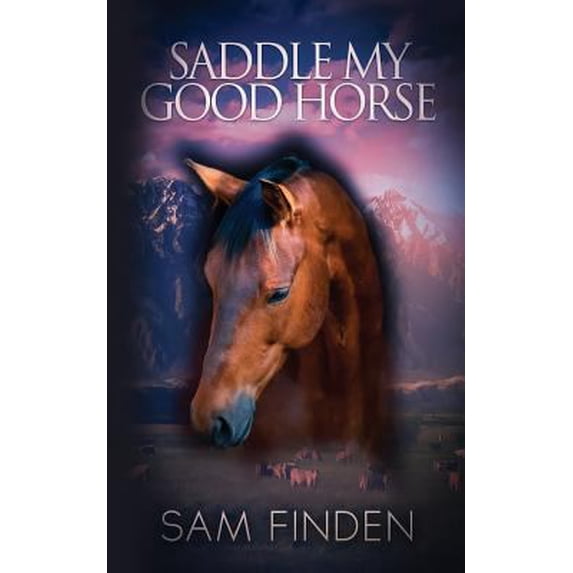 Pre-Owned Saddle My Good Horse: The Cowboy Kids of Mirror Valley (Paperback) 0615805337 9780615805337