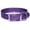 Purple, variant on Sunglo Collar, Yellow 1"x 19"