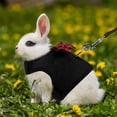 thumbnail image 3 of Manufacturing Nylon Walk-N-Vest Pet Harness and Leash for Small Pets, 3 of 4