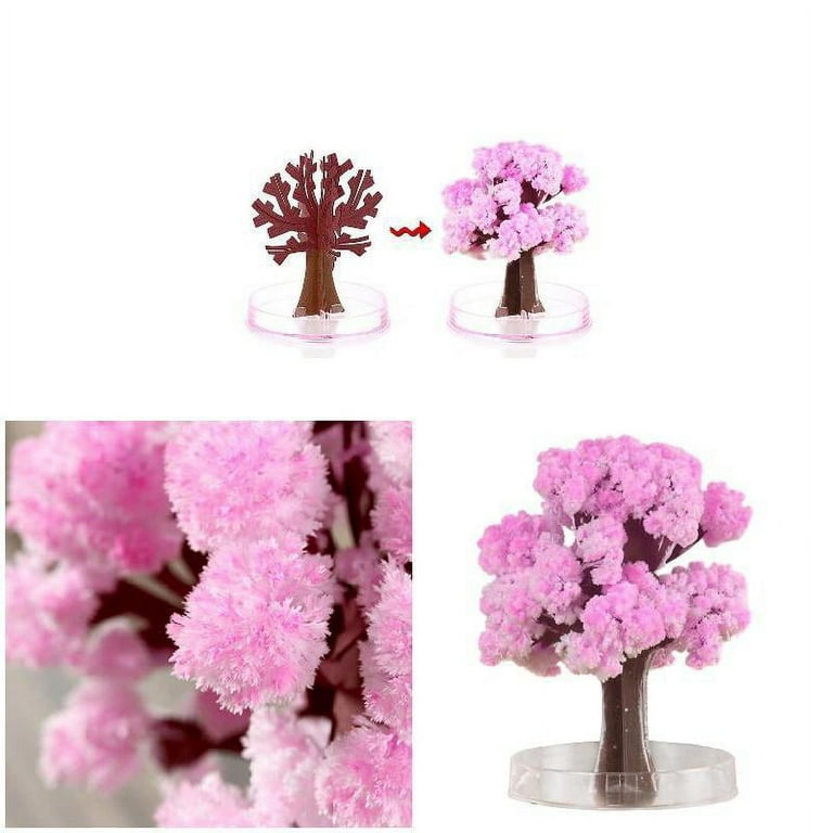 Magic Growing Tree Paper Sakura Crystal Trees Desktop Cherry Blossom Toys  Magic Sakura Tree Cherry Blossom