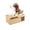 Brown, variant on Gallickan Dog Piggy Bank, Pippy Money Box, Cute Automatic Stealing Coin Bank, Robotic Coin Munching Toy Money Box Gift for Christmas Birthday Party