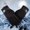 6141_Black, variant on 2PCS Women's Warm Winter Brief Paragraph Knitting Half Fingerless Gloves KH