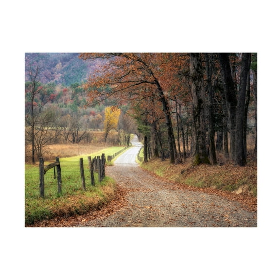 Canvas Wall Art - Danny Head 'Autumn Drive I' Wall Art for Living Room, Bedroom, or Office Décor by Trademark Fine Art - 19 x 14 Inches