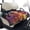 Coconut Tree, variant on KUIFORTI Brown Leopard Print Golf Cart Seat Cover Travel Sports Cart Seat Cushion Covers Easy Installation Universal Fits for EZGO, Yamaha, Club Car and More 2 Seats Golf Carts