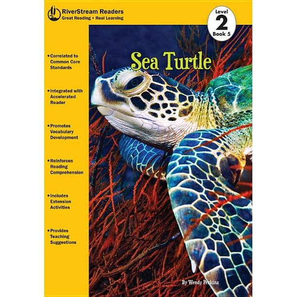 Sea Turtle
