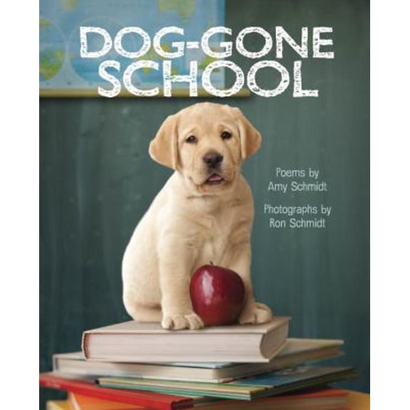Pre-Owned Dog-Gone School (Hardcover) 0375869743 9780375869747