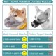 thumbnail image 4 of Bozal para perros, bozales recubiertos de malla suave para perros pequeños, medianos y grandes, bozal protector contra cebos envenenados con correas ajustables, evita morder, masticar y lamer (L), 4 of 4