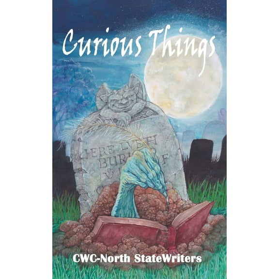 Curious Things: A Compilation of Curiously Disturbing & Sometimes Horrifying Stories (Paperback)