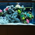 thumbnail image 5 of Coral Propagation Support Decor for Shelf Rack Aquarium Breeding Holder Reef Accessories Fish Tank, 5 of 6