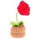 thumbnail image 5 of DIY Crochet Craft Crocheted Flower Decor Decoración de Home Diy para principiantes, 5 of 5